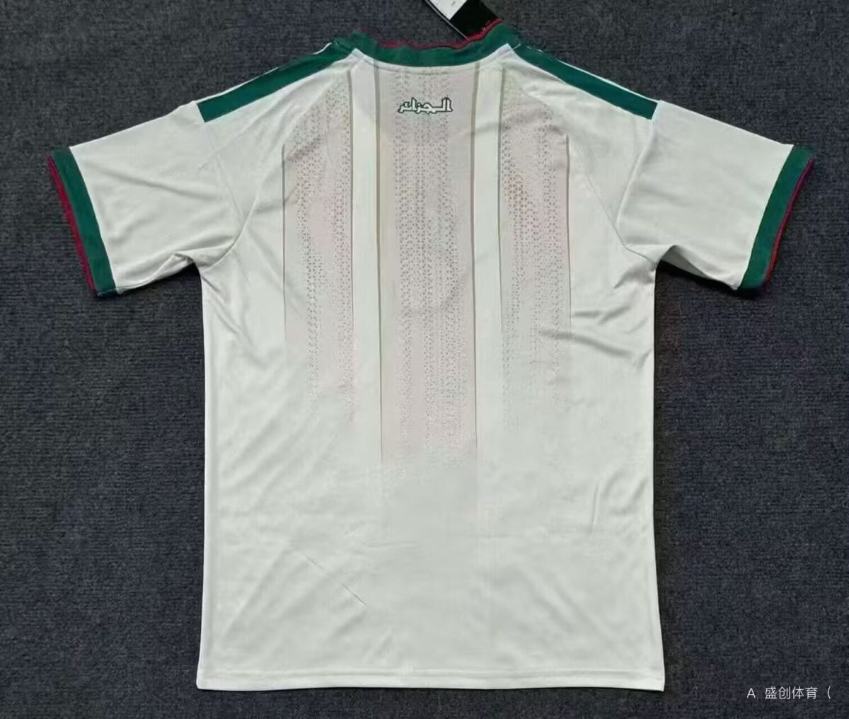 Algeria 2026 Home Jersey - Fan Version - Image 2