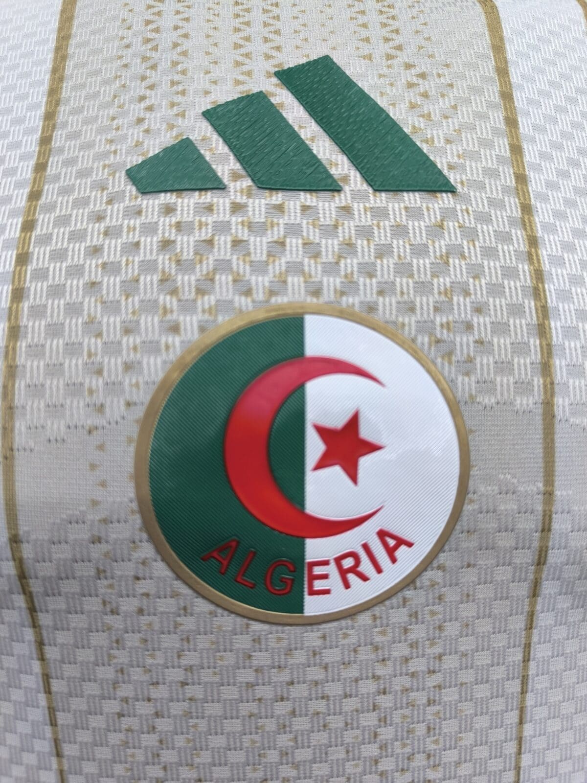 Algeria 2026 Home Jersey - Player Version - Image 7