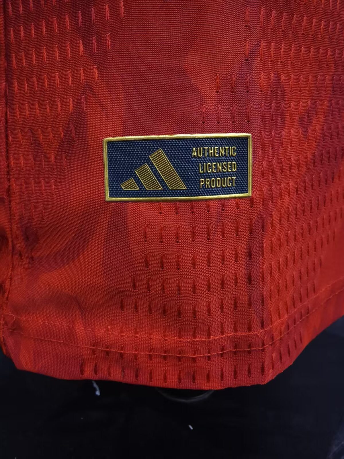 Belgium 2026 Home Jersey - Player Version - Image 7