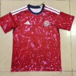 Costa Rica 2026 Home Jersey - Fan Version