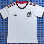 Mexico 2026 Away Jersey - Fan Version